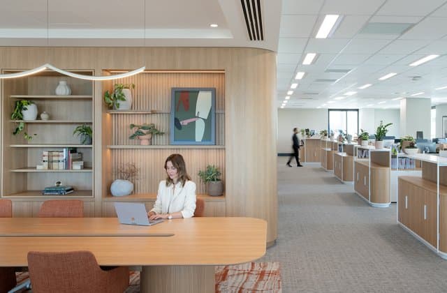 Buddle Findlay thumbnail