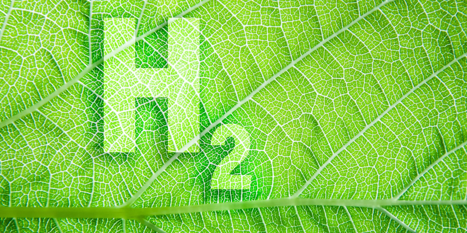 Institute of Geological and Nuclear Sciences