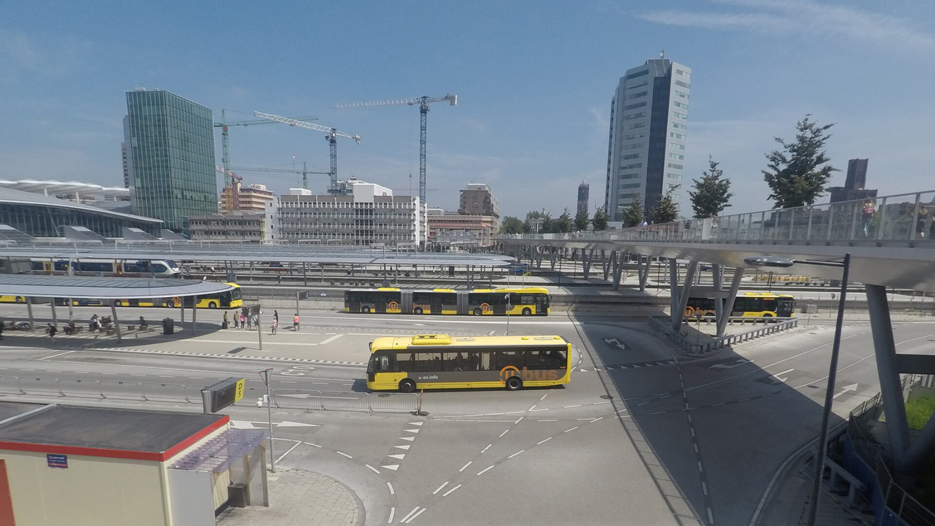As easy as A to ZEB? Finding the path to zero emission buses on the way to net-zero 2050