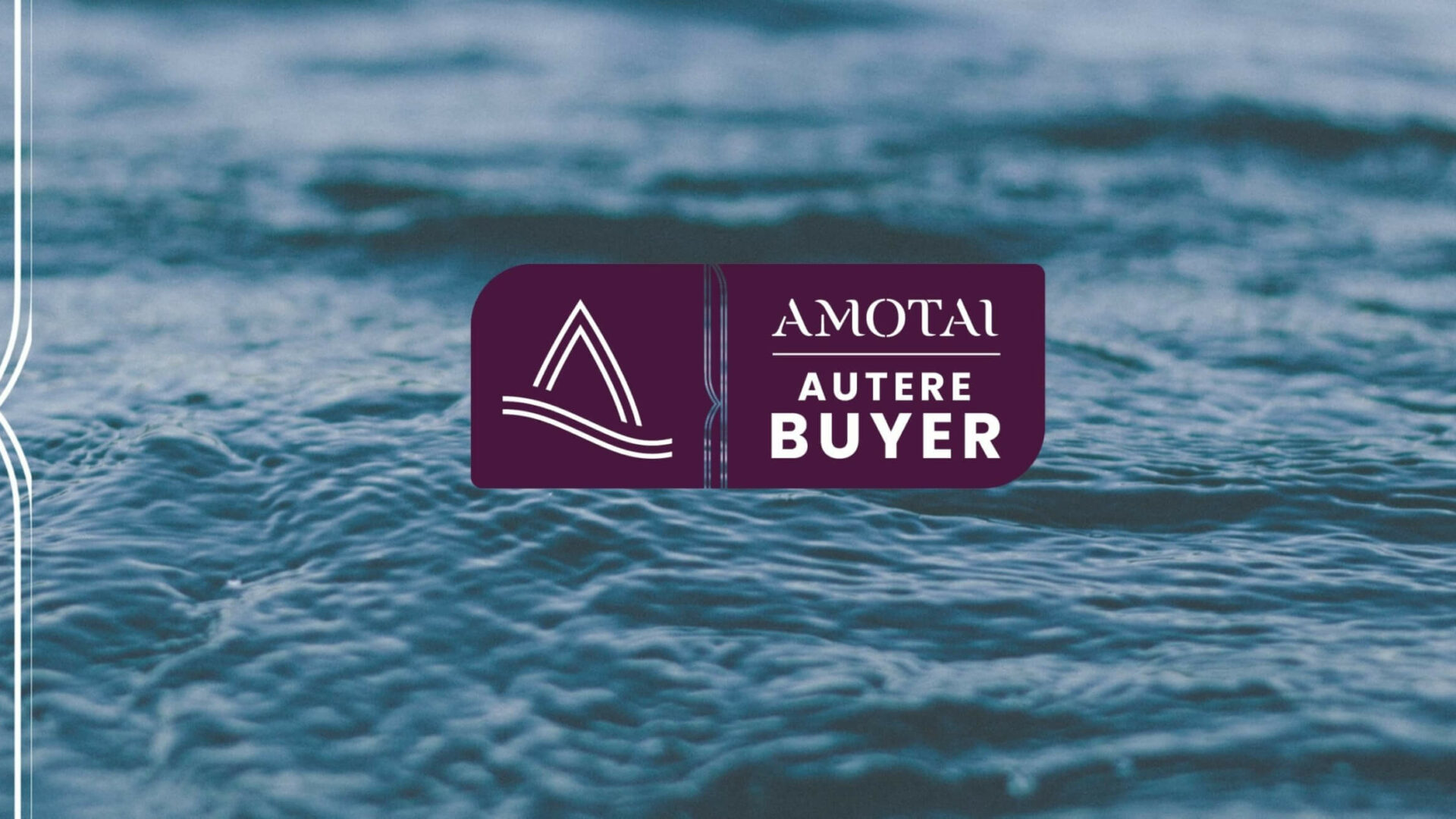 TSA Management Joins Amotai as a Buyer